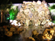 DSCN0625
