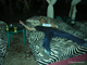 DSCN0693